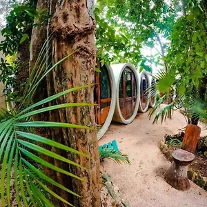 Tubo Albergue Tulum